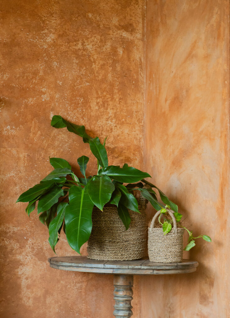 Sustainable mineral wall coating for Bali homes